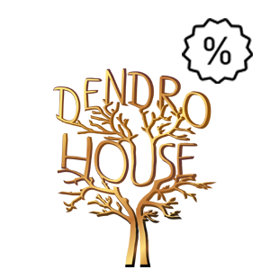 Dendro.House Image